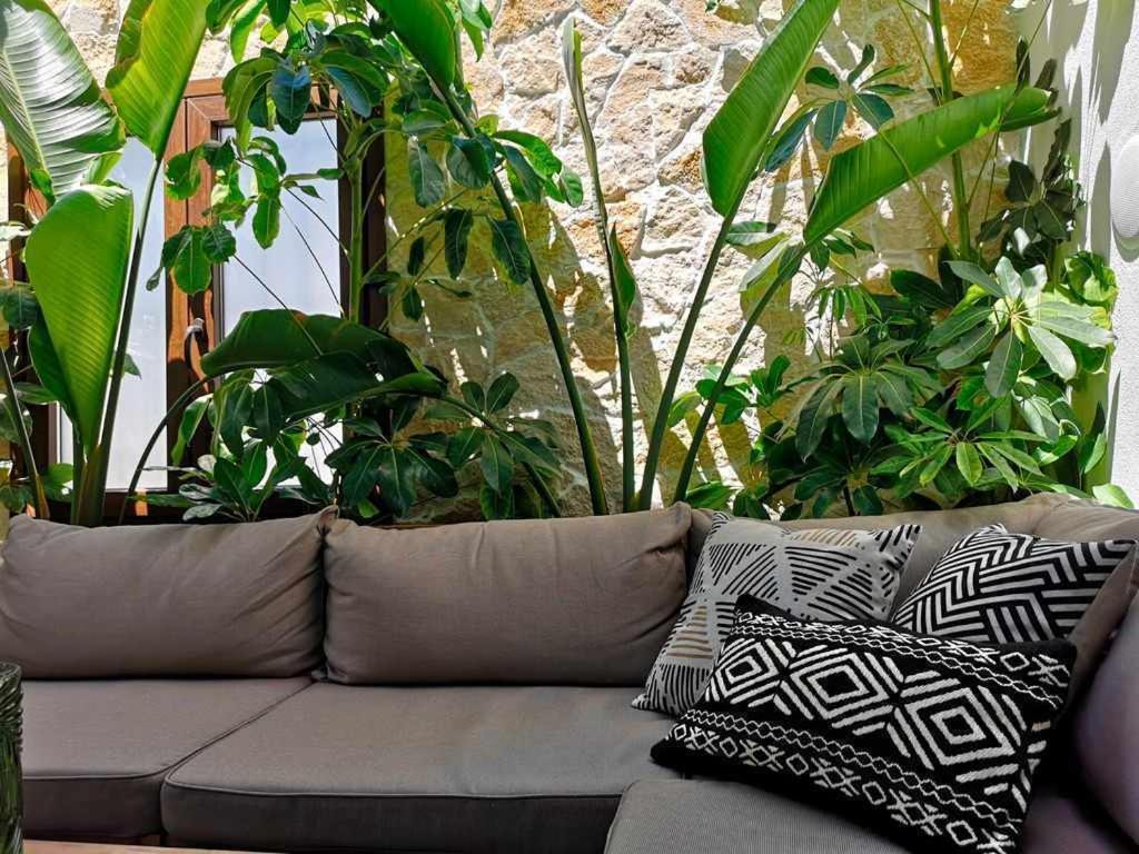 Casa Rural Albireo Sanlúcar de Guadiana Dış mekan fotoğraf